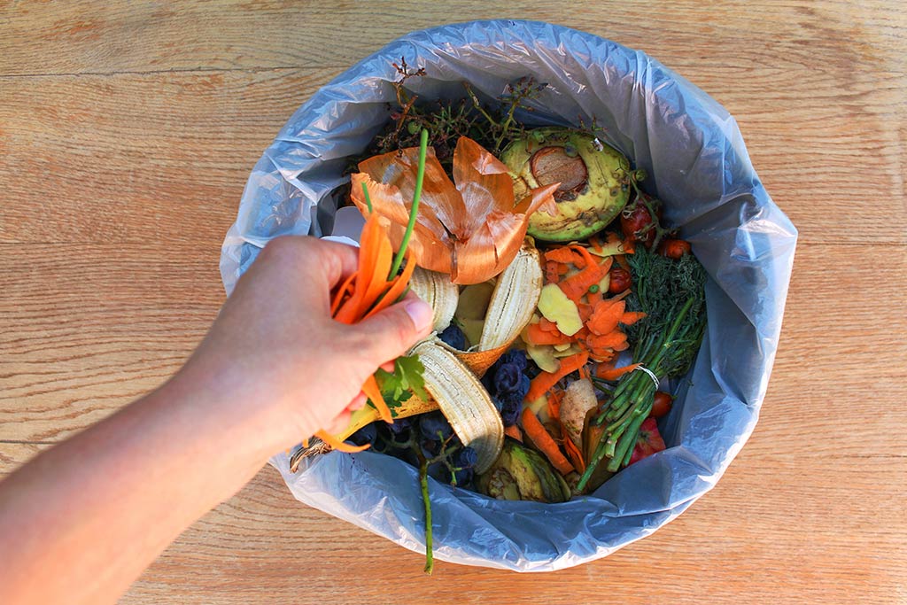 Small bin of organize food waste compost