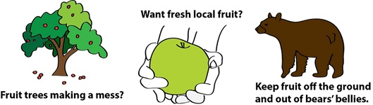 Fruit trees making a mess? Want fresh local fruit? Keep fruit off the group and out of bears' bellies.
